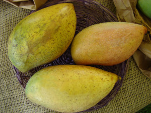 Totapuri Mango