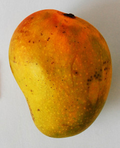 Badami Mango