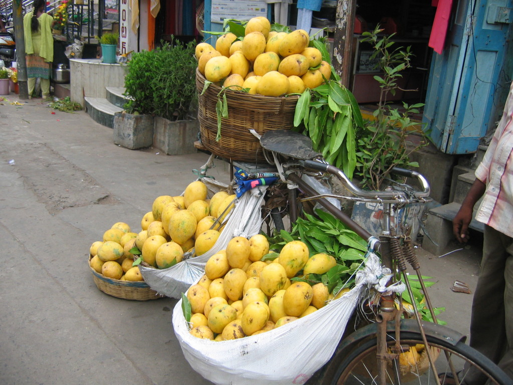 Rajapuri Mango