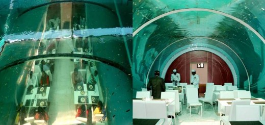 The Real Posiedon Underwater Restaurant Ahmedabad