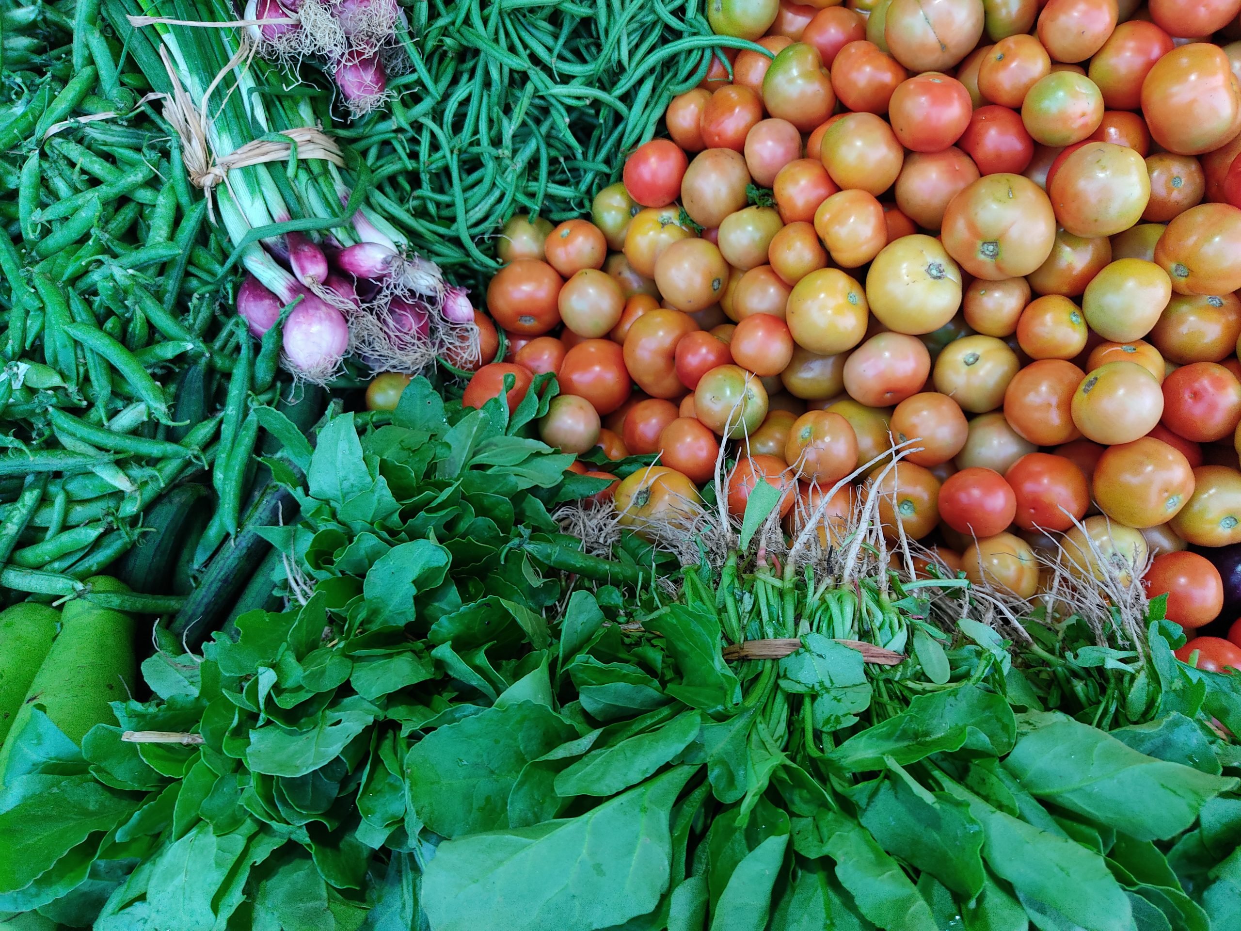 majorly-produced-vegetable-fruit-and-crop-gujarat-climate